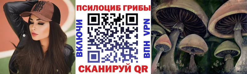ОМГ ОМГ маркетплейс  Сургут  Галлюциногенные грибы GOLDEN TEACHER 