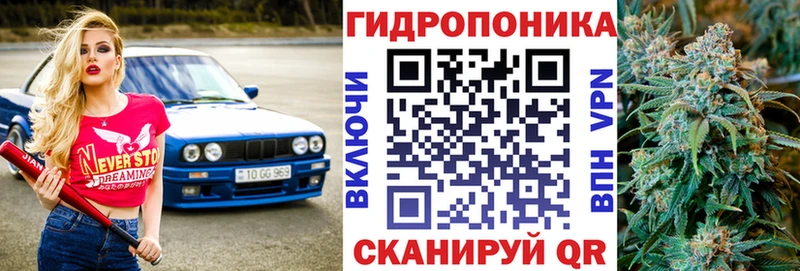 Бошки Шишки VHQ  Сургут 